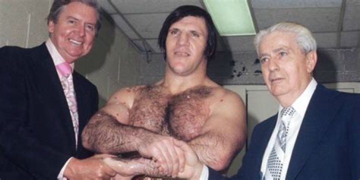 Bruno Sammartino Biography, Age, Height, Wife, Net Worth, Family