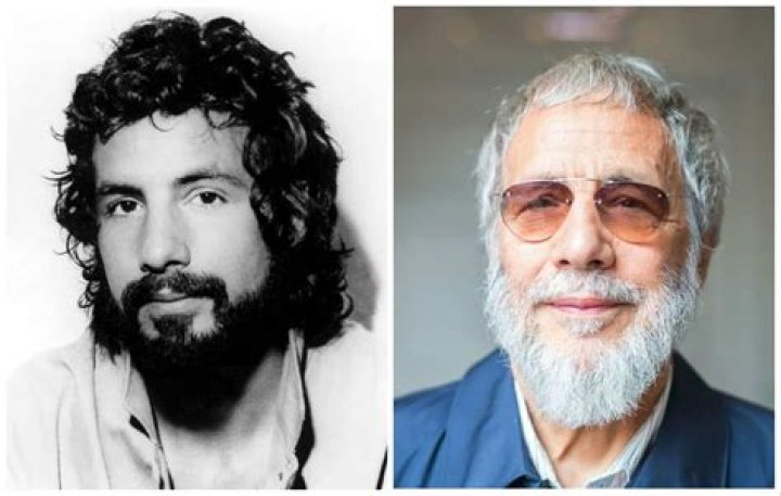 Cat Stevens Biography, Age, Height, Wife, Net Worth, Family