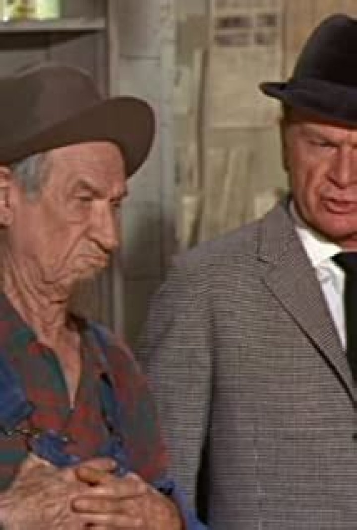 Hank Patterson Biography, Age, Height, Wife, Net Worth, Family