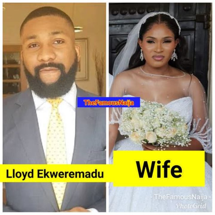 Ike Ekweremadu Biography, Age, Height, Wife, Net Worth, Family