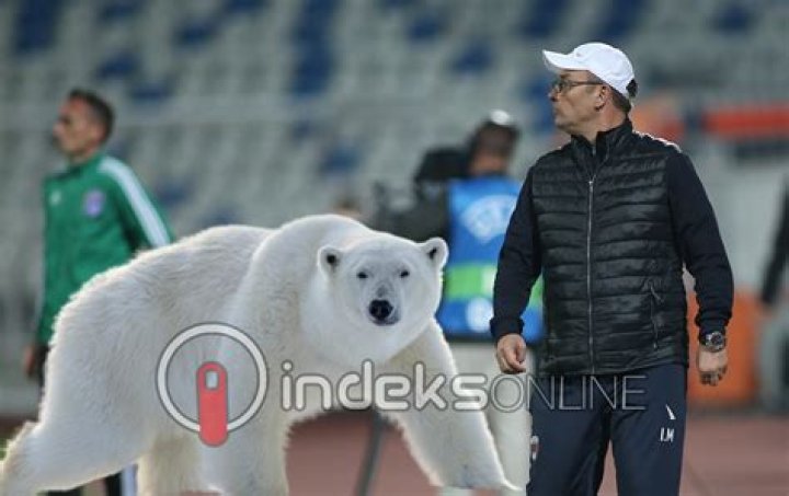 Ismet Munishi Biography, Age, Height, Net Worth, Family