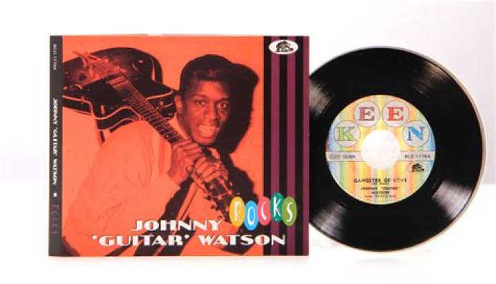 Johnny 'Guitar' Watson biografía, edad, altura, esposo, net worth, familia