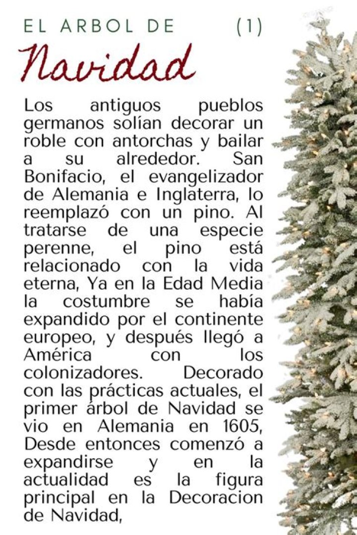 Patricia Navidad biografía, edad, altura, esposa, net worth, familia