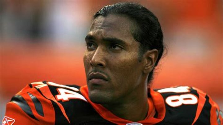 T. J. Houshmandzadeh biografía, edad, altura, esposo, net worth, familia