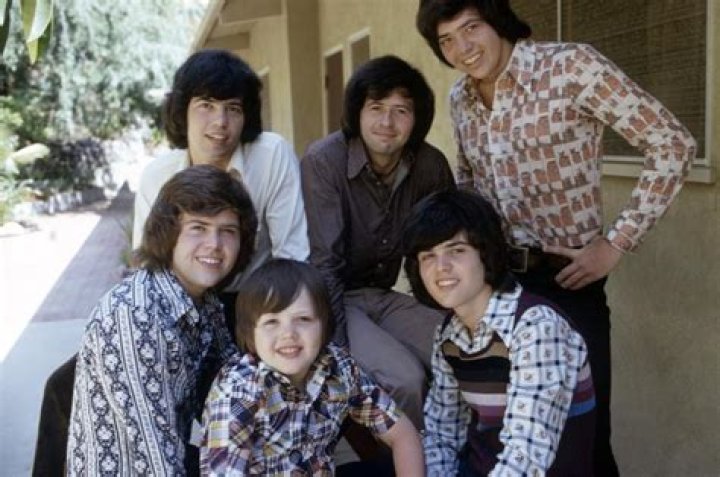 Wayne Osmond biografía, edad, altura, esposo, net worth, familia