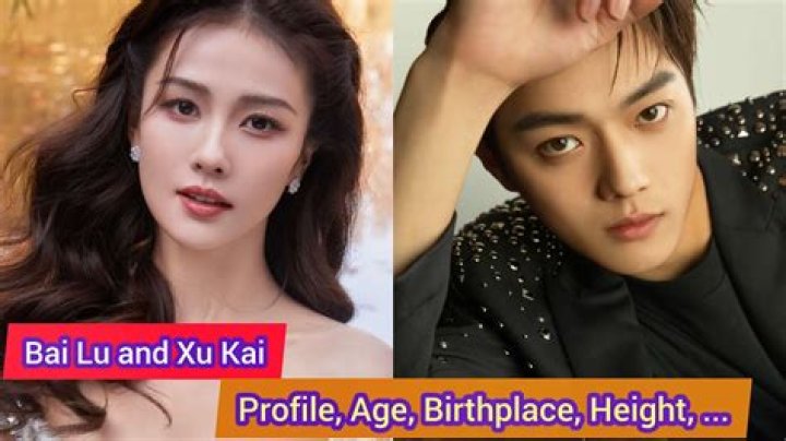 Xu Jidan Biography, Age, Height, Husband, Net Worth, Family