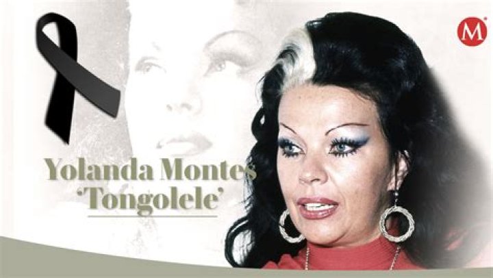 Yolanda Liévana biografía, edad, altura, esposa, net worth, familia